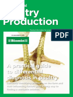 Guia de Enfermedades de Pollos en Producción