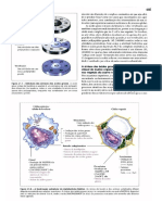 Livro Lehninger - Princípios de Bioquímica-3 Edição- Completo-Parte3