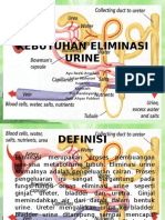 Kebutuhan Eliminasi Urine