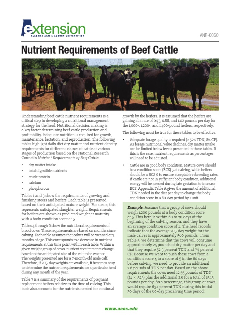 Nutrient Requirements of Beef Cattle WWW Aces.edu PDF Calf Weaning