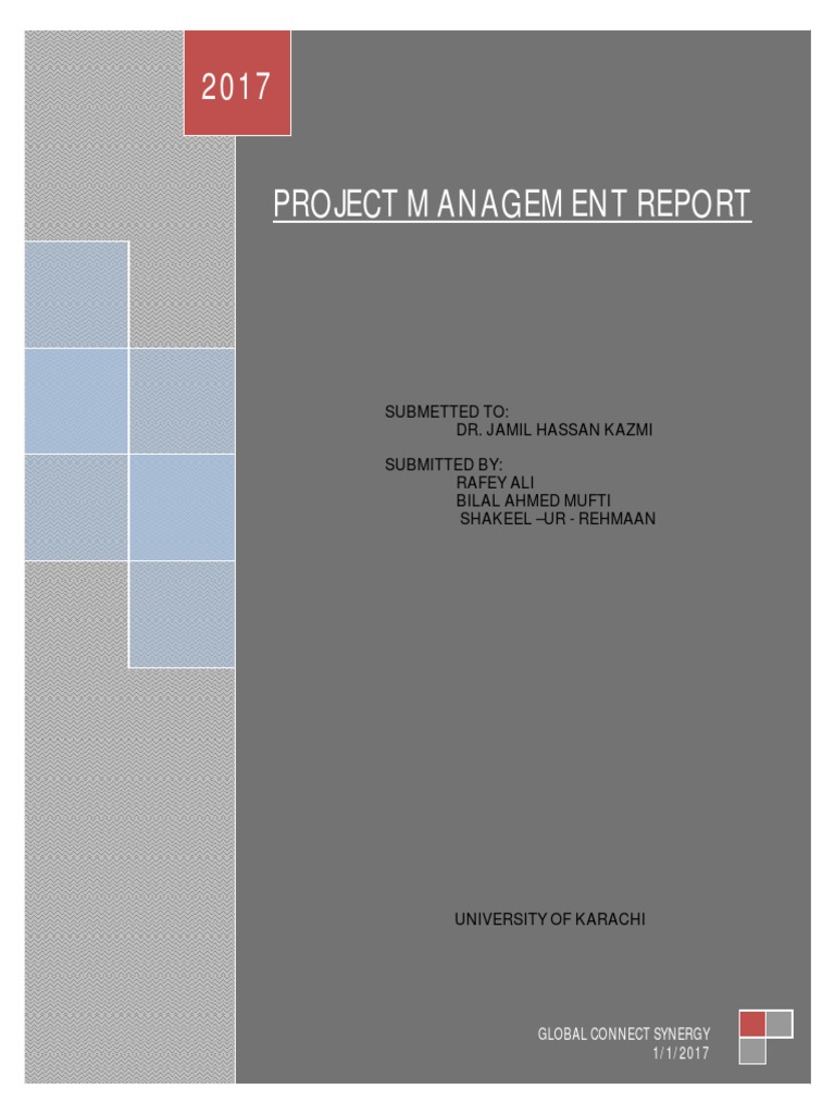Project Management Report | PDF | Geographic Information System | Surveying