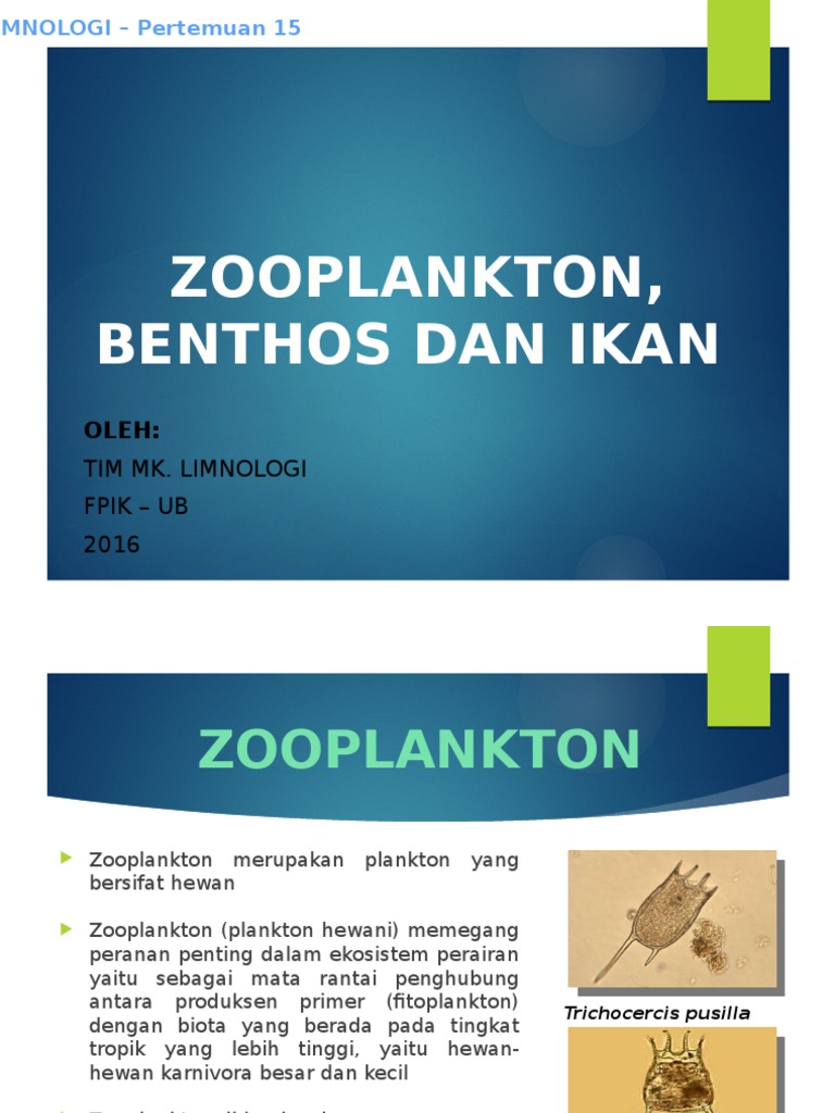 15 Zooplankton Benthos Dan Ikan