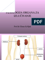 2007 Predavanja - Fiziologija Organa Za Izlucivanje