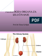 Predavanja - Fiziologija Organa Za Izlucivanje (Do Slajda 18)
