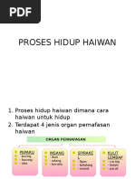 Soalan Sains Tahun 5 Proses Hidup Haiwan Malacca G