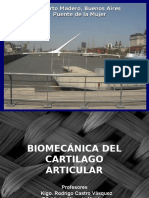 6biomecanicadecartilago 090824151315 Phpapp01