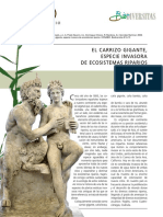 Carrizo PDF