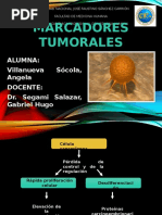 MARCADORES TUMORALES 