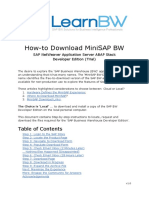 How-To Download MiniSAP BW