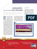 Carbonatación.pdf