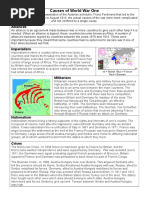 Causes_WWOne.doc