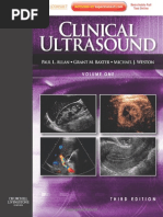 Download Clinical Ultrasound 2C Volume 1 by Anca Mehedinu SN340902730 doc pdf