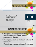 2 Gametogenesis