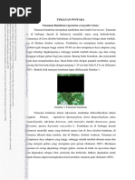 Download bandotan 1pdf by itayesung89 SN340910933 doc pdf