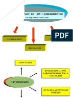 Metabolismo de Carbohidr