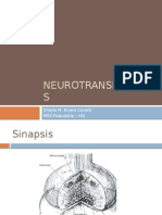 neurotransmisores