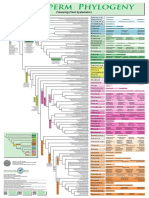 Plantphylogeny PDF