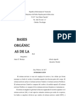 Trabajo Sobre El Sistema Nervioso (Yareidi)