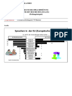 Dsh-Textproduktion Beispiel Mit Lösung