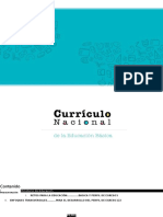 Curriculo Nacional 2017 Word