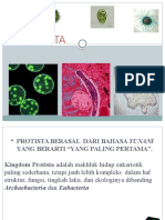 Protista