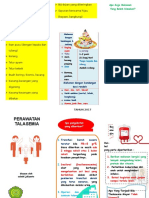 Leaflet Perawatan Talasemia Anak