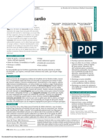PDF Pato