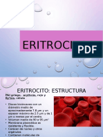 Eritrocitos y Hemoglobina