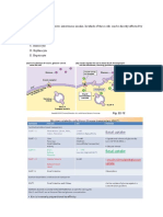 NL Biology of Cell