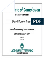 Articulated Ladder Safety 06-04-15