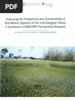 Download Improving the Productivity and Sustainability of Rice-Wheat Systems of the Indo-Gangetic Plains  by International Rice Research Institute SN34095917 doc pdf