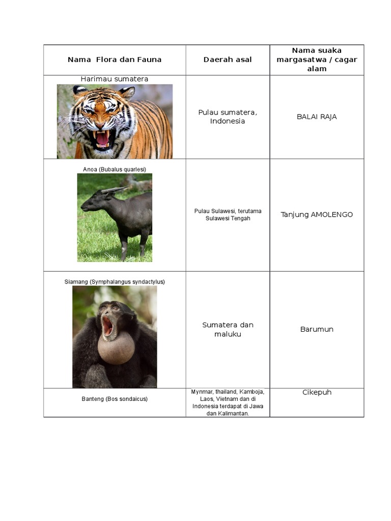 Unduh 44 Koleksi Gambar Flora Fauna Asia Tenggara Paling Bagus Gratis HD