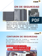 Cinturon de Seguridad Vehicular