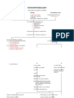 Pathophysiology: Predisposing Factor Etiology Precipitating Factor