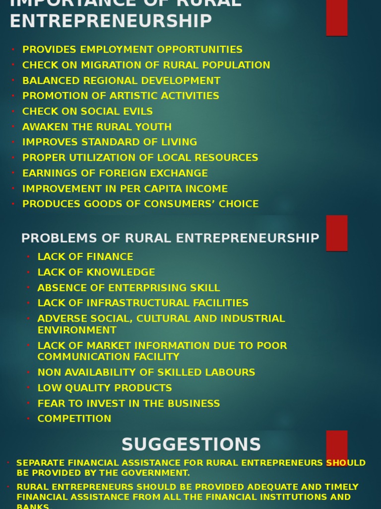 Rural Entrepreneurship | PDF | Social Science