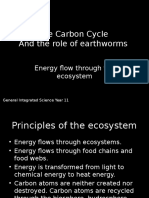 Carbon Cycle and Energy Flow