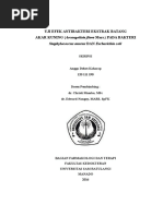 Download Uji Efek Antibakteri EKstrak Batang Akar Kuning Archangelisia flava Merr pada bakteri Staphylococcus aureus dan Escherichia coli by Angga Kaharap SN340972645 doc pdf