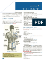 Thorax The Back: Surface Anatomy