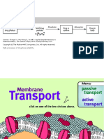 Membran Transport (New)