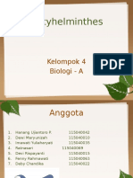 Platyhelminthes2 130202055023 Phpapp02