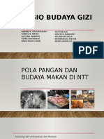 Sosio Budaya Gizi