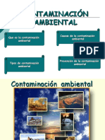 Diapositivacontaminacionambiental 090512170559 Phpapp02