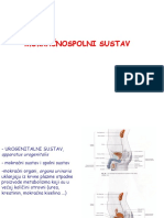 9. Mokracni i Spolni Sustav