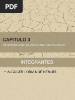 Capitulo 3 Determinacion Del Programa Del Proyecto
