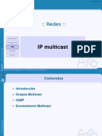 IP Multicast