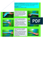 Tape Tunel Carpiano PDF