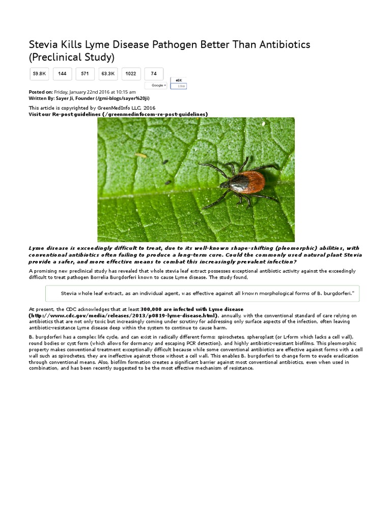 Stevia Kills Lyme Disease Pathogen Better Than Antibiotics | Lyme
