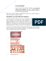 EVOLUCIÓN DE LA OCLUSION PRIMARIA.docx