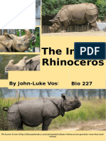 The Indian Rhinoceros: by John-Luke Voshall Bio 227