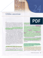 Capitulo XXIV, Células Cancerosas..compressed PDF
